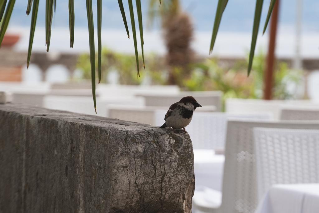 Villa Pioppi Hotel Sirmione Dış mekan fotoğraf